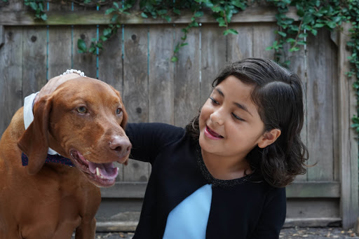 Divorce Lawyer «Ramos Law Group, PLLC», reviews and photos