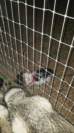 Park «Nani Falcone Community Park», reviews and photos, 7625 Mystic Park, San Antonio, TX 78254, USA