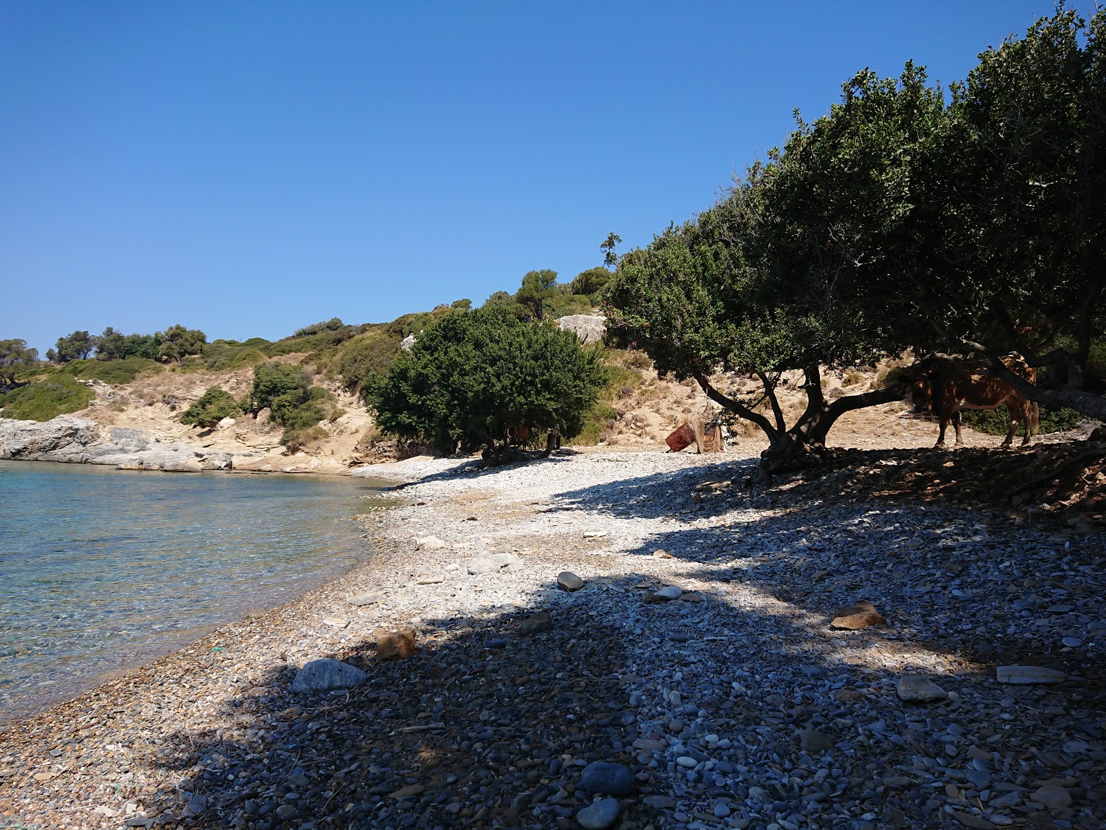 Foto av Agios Nikolaos beach med låg nivå av renlighet