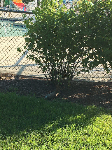 Water Park «Killens Pond Water Park», reviews and photos, 5025 Killens Pond Rd, Felton, DE 19943, USA