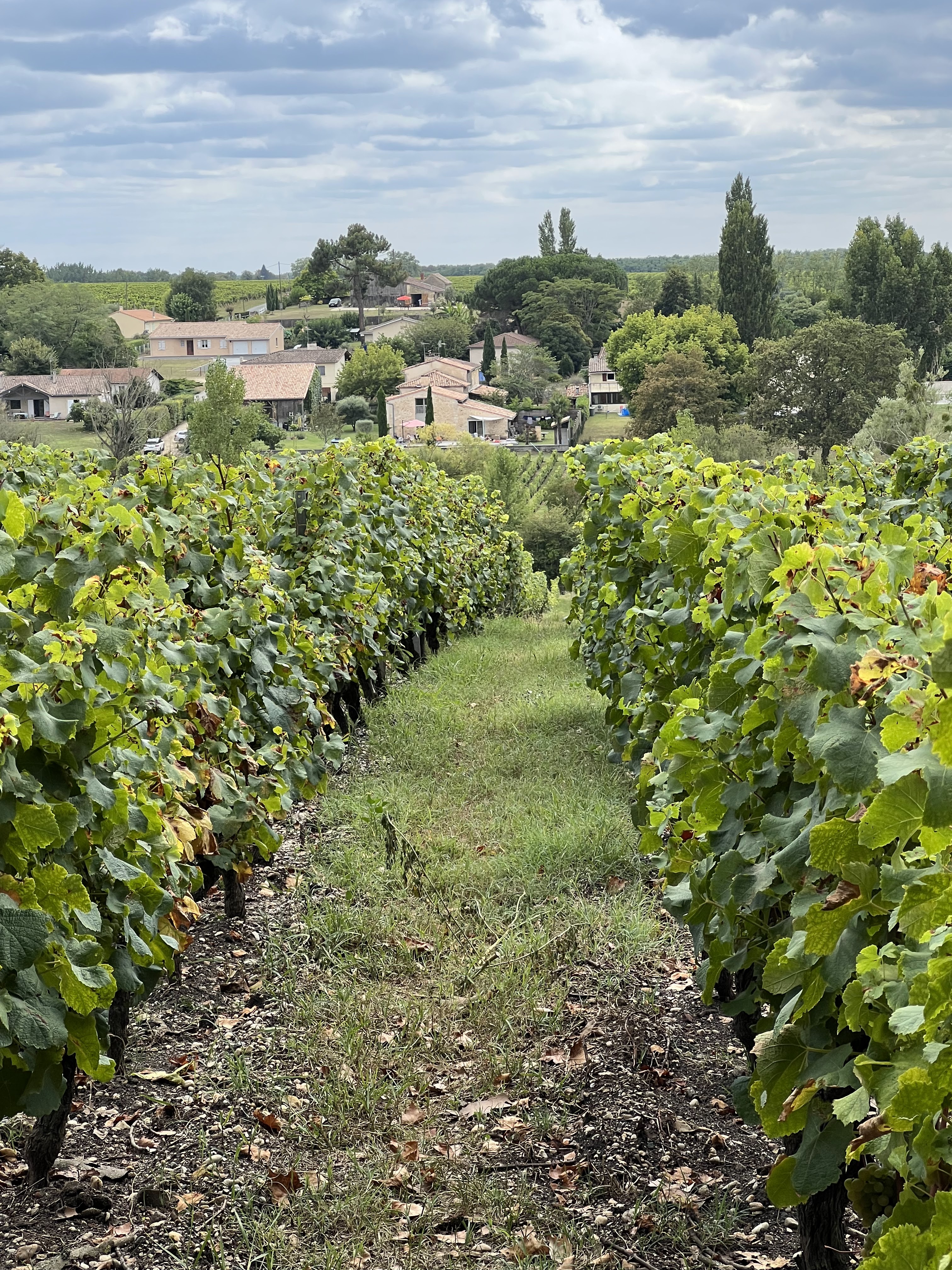 Photo n° 9 de l'avis de jean-philippe.O fait le 15/08/2023 à 22:28