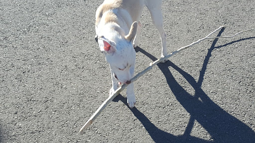 Country Club «The Club at ArrowCreek», reviews and photos, 2905 Arrowcreek Pkwy, Reno, NV 89511, USA