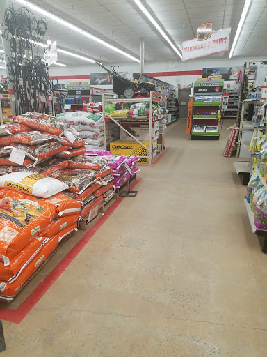 Home Improvement Store «Tractor Supply Co.», reviews and photos, 294 E Church St, Jasper, GA 30143, USA