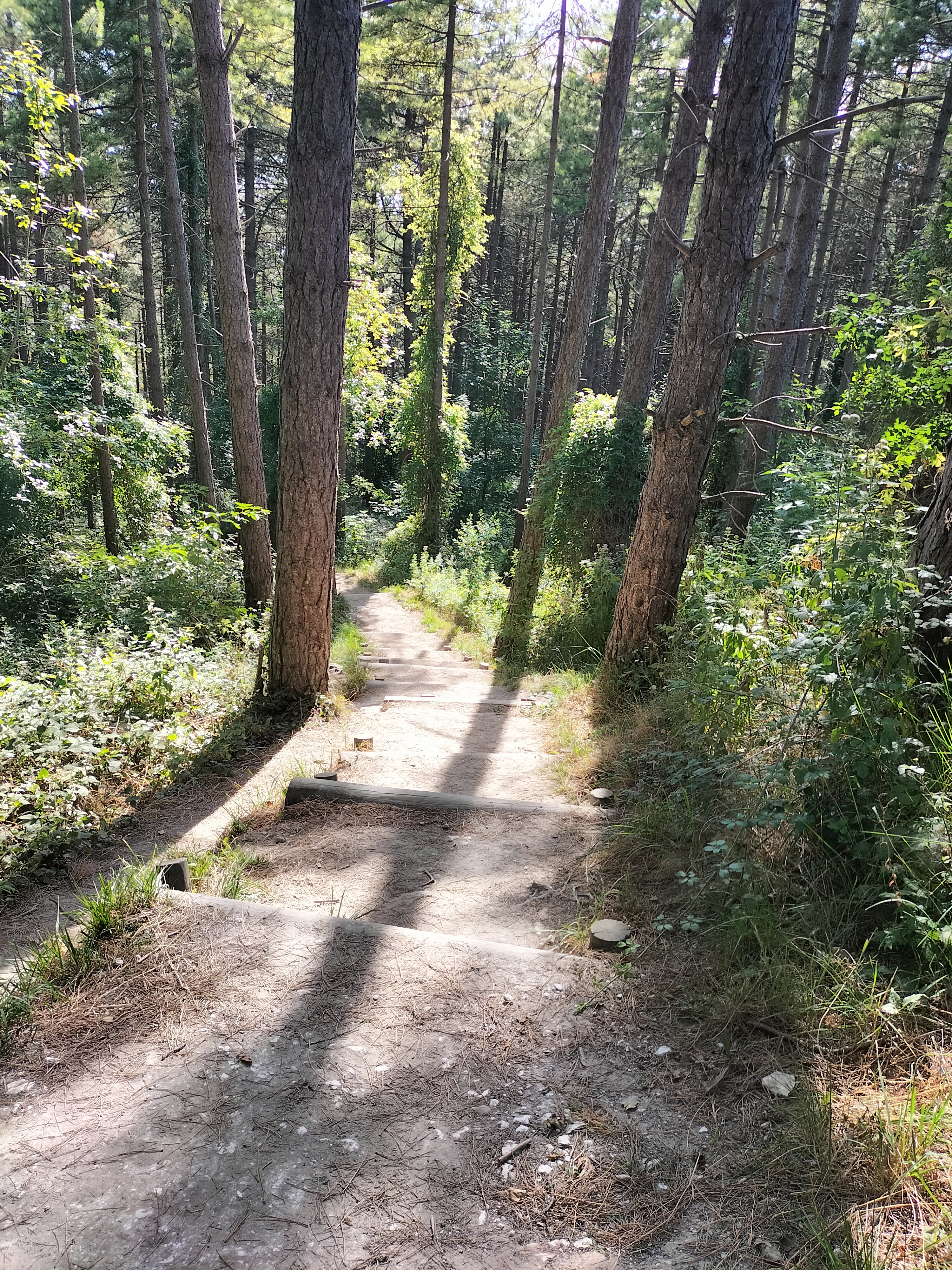 Photo n° 4 de l'avis de Magalie.u fait le 30/07/2022 à 06:08