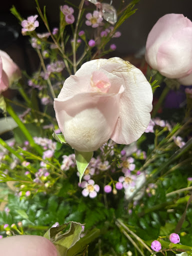 Florist «Flowers By Shirley», reviews and photos, 2200 US-1, St Augustine, FL 32086, USA