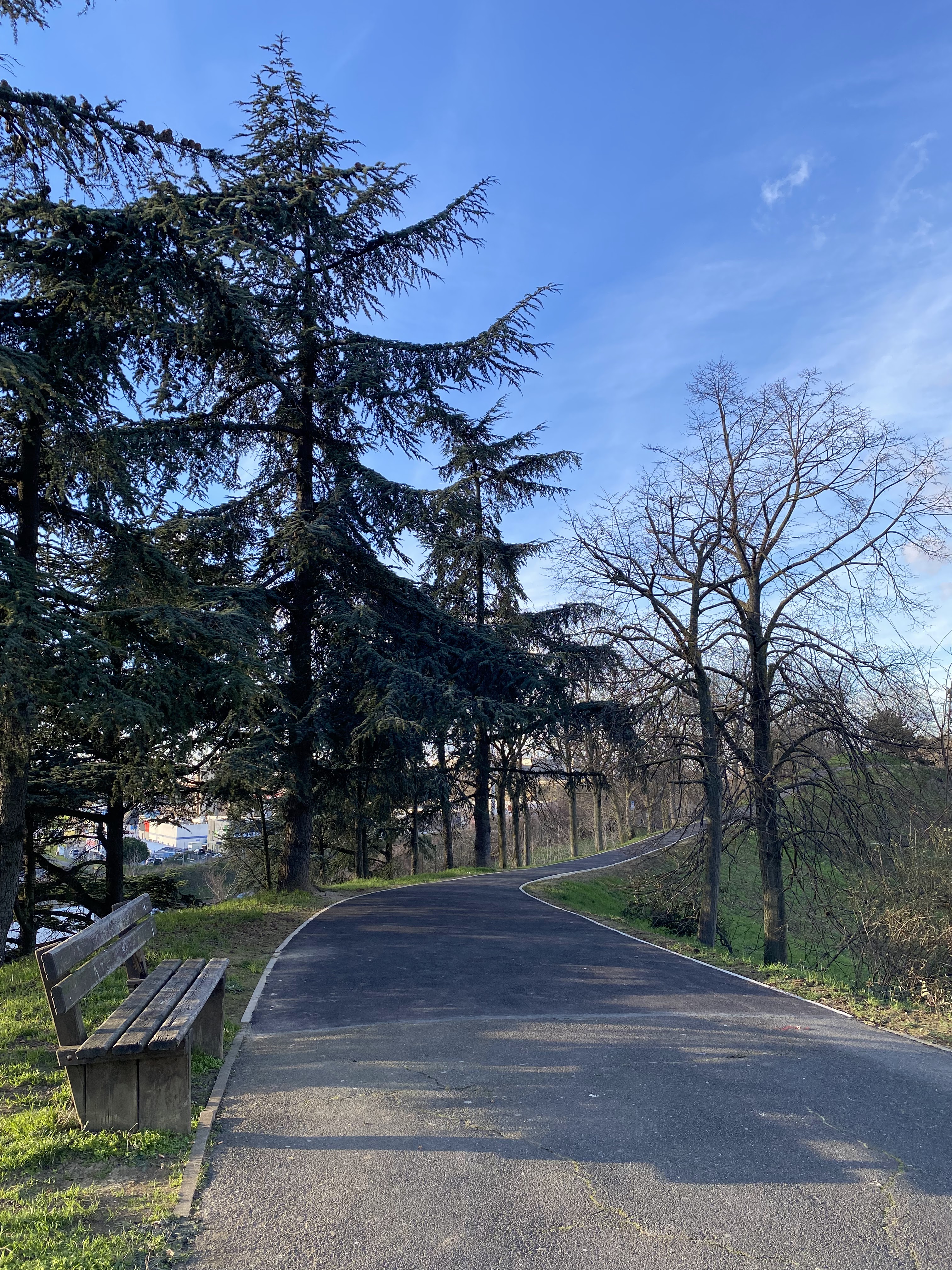 Photo n° 33 de l'avis de jérémie-louis.D fait le 16/01/2024 à 00:35