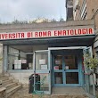 Policlinico Umberto I - Istituto Ematologia