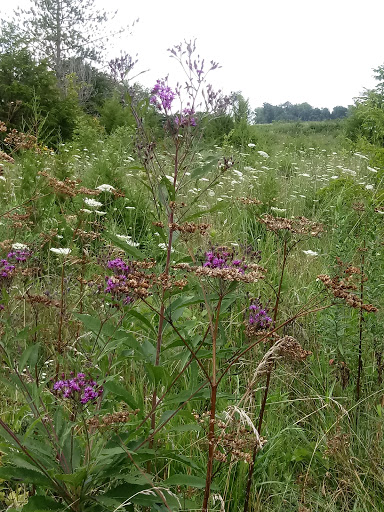 Nature Preserve «Rush Run Wild Life Area», reviews and photos, 1989 Northern Rd, Somerville, OH 45064, USA