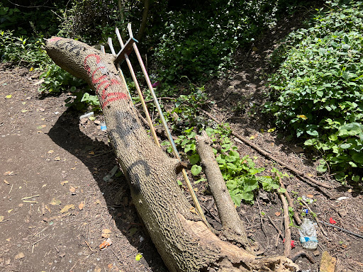 Historical Landmark «Fort Armistead», reviews and photos, Fort Armistead Rd, Baltimore, MD 21226, USA