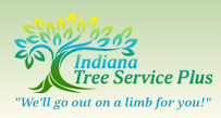 Indiana Tree Service Plus - Photo 3 - Car repair in , Lafayette