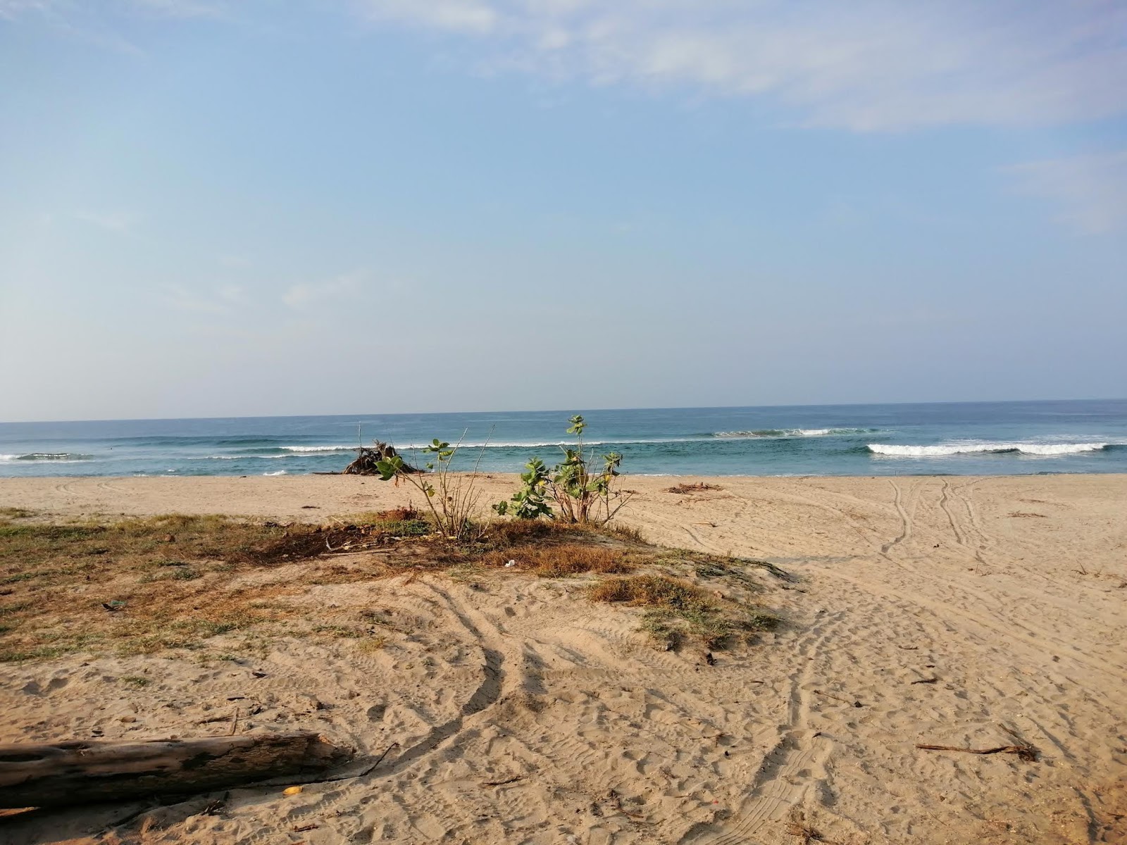 Foto di Playa Los Naranjos con una superficie del sabbia beige fine