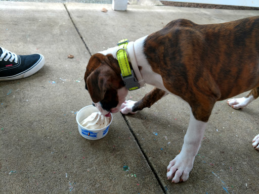 Ice Cream Shop «The Original Kohr Brothers Frozen Custard Since 1919», reviews and photos, 2151 Richmond Rd, Charlottesville, VA 22911, USA