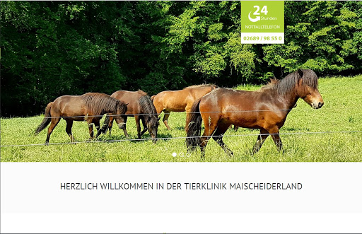 Pferdeklinik Maischeiderland | Dr. Matthias Rettig unter Großmaischeid, 