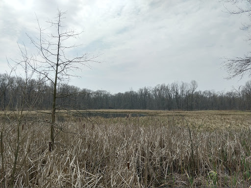 Museum «Harry C Barnes Memorial Nature Center», reviews and photos, 175 Shrub Rd, Bristol, CT 06010, USA