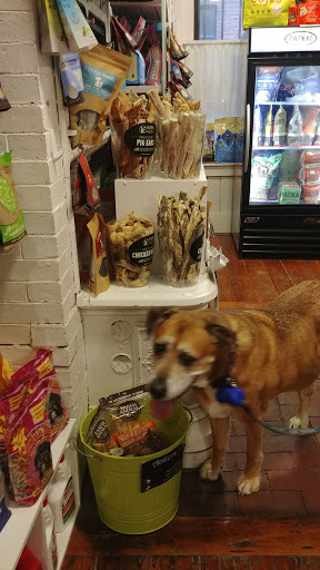 Pet Store «Pawsh Dog Boutique», reviews and photos, 31 Gloucester St, Boston, MA 02115, USA