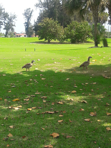 Golf Club «Normandy Shores Golf Course», reviews and photos, 2401 Biarritz Dr, Miami Beach, FL 33141, USA