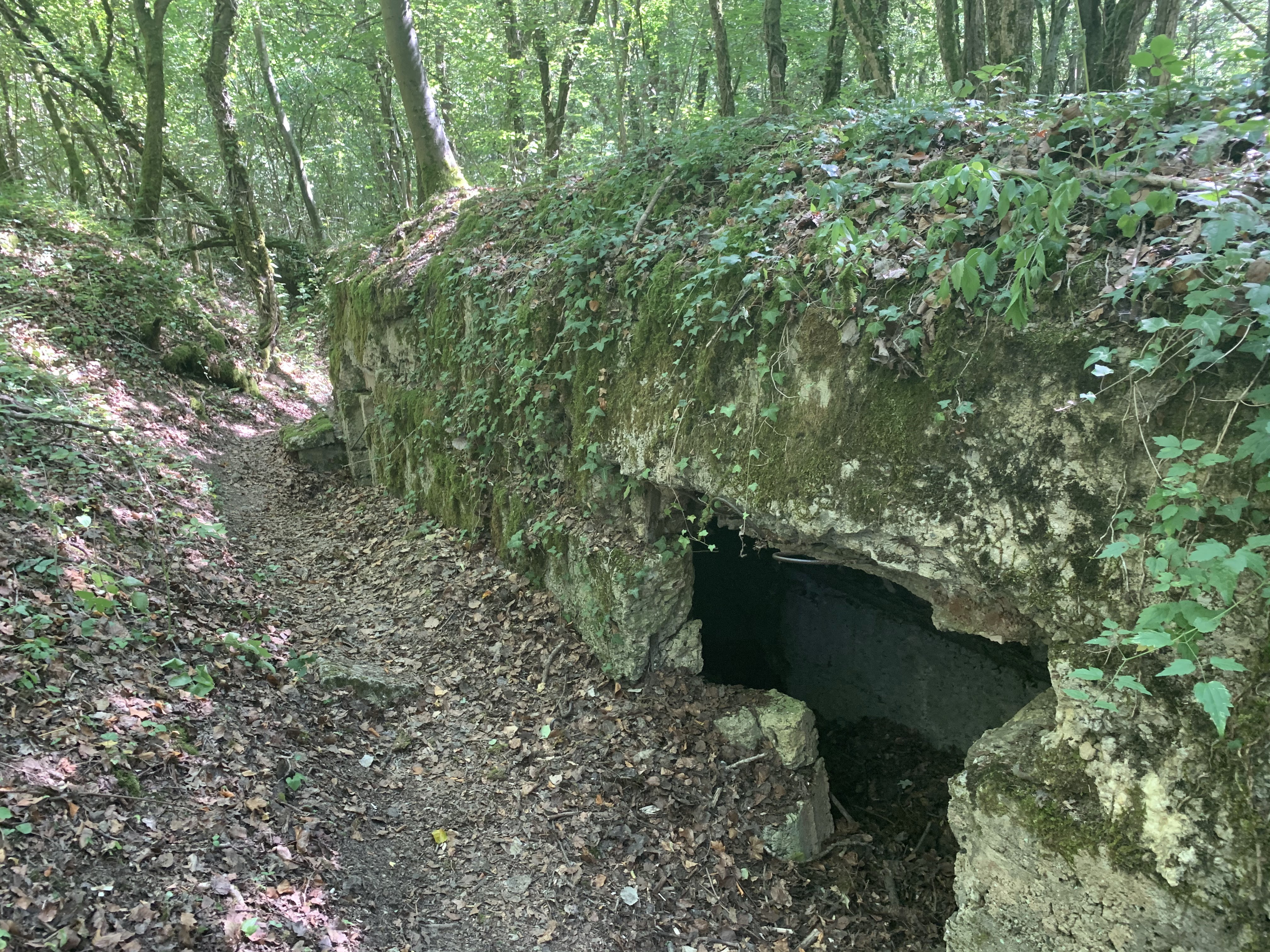 Photo n° 6 de l'avis de Ivo. fait le 18/08/2020 à 21:12