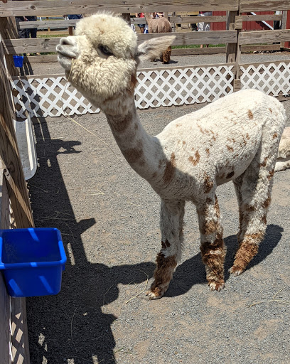 Gift Shop «Hidden Spring Lavender Farm and Gift Shoppe», reviews and photos, 890 Belle Mead-Blawenburg Rd, Skillman, NJ 08558, USA