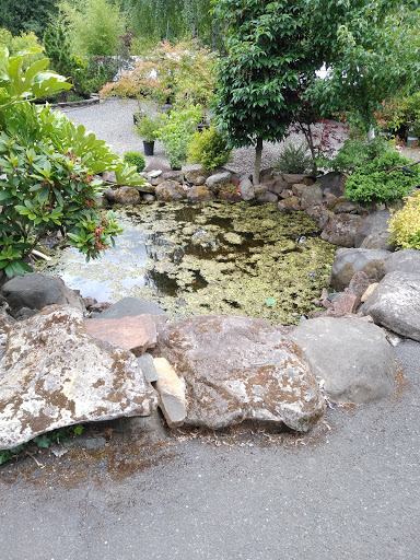 Florist «Milwaukie Floral and Garden», reviews and photos, 3306 SE Lake Rd, Milwaukie, OR 97222, USA