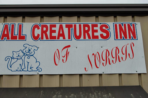 Clinton Animal Hospital