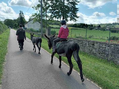 Flore y Anes à Saint-Léger-sur-Dheune
