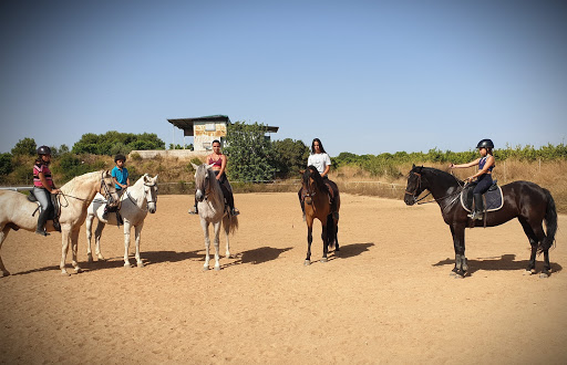 Hipica Cortijo la Jara