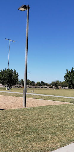 Mansel Carter Oasis Volleyball Court