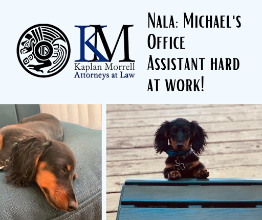 Attorney «Kaplan Morrell», reviews and photos