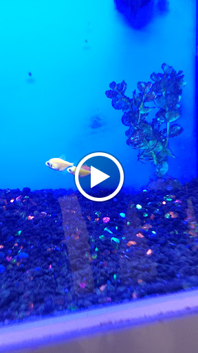 Pet Supply Store «Petco Animal Supplies», reviews and photos, 300 Hylan Dr, Rochester, NY 14623, USA