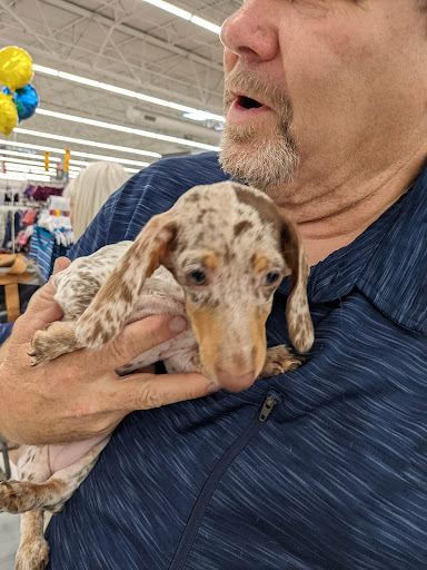 Department Store «Walmart Supercenter», reviews and photos, 800 S Us Hwy 81/287, Decatur, TX 76234, USA