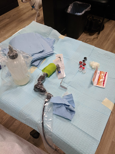 Tattoo Shop «Sacred Rose Tattoo», reviews and photos, 1728 University Ave, Berkeley, CA 94703, USA