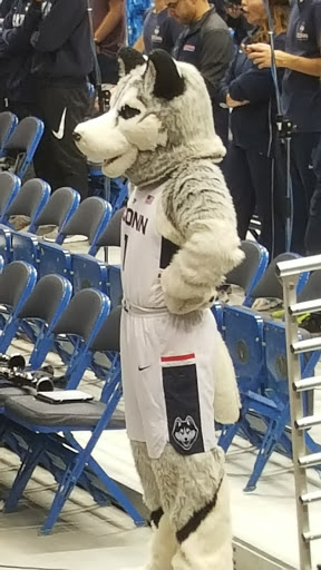 Event Venue «XL Center», reviews and photos, 1 Civic Center Plaza, Hartford, CT 06103, USA