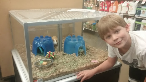 Pet Supply Store «Pet Supplies Plus», reviews and photos, 1030 Main St #10, Waltham, MA 02451, USA