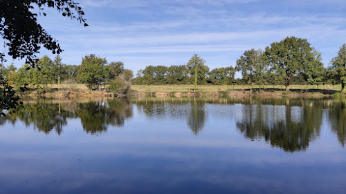 attractions Les étangs Potier Saint-Georges-de-Pointindoux