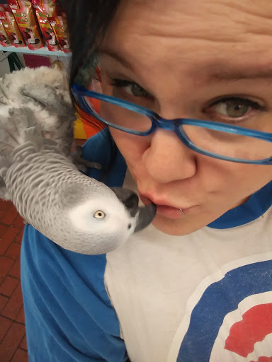 Pet Store «7 Seas Pet Care Center», reviews and photos, 13311 S Brandon Ave, Chicago, IL 60633, USA