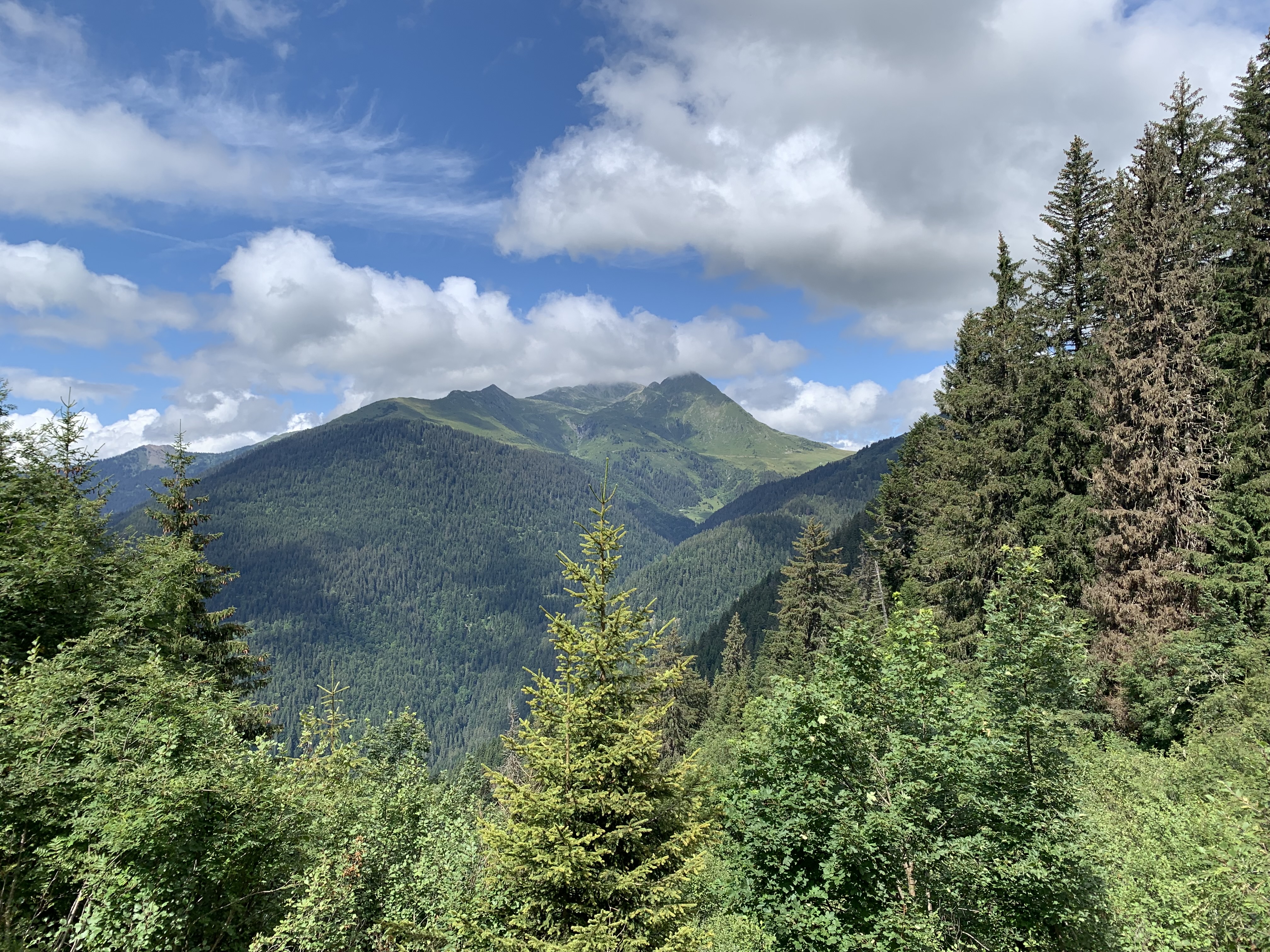 Photo n° 3 de l'avis de Wil.o fait le 15/08/2021 à 16:51