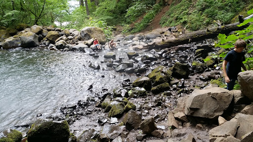 Waterfall «Horsetail Falls», reviews and photos, Historic Columbia River Hwy, Cascade Locks, OR 97014, USA