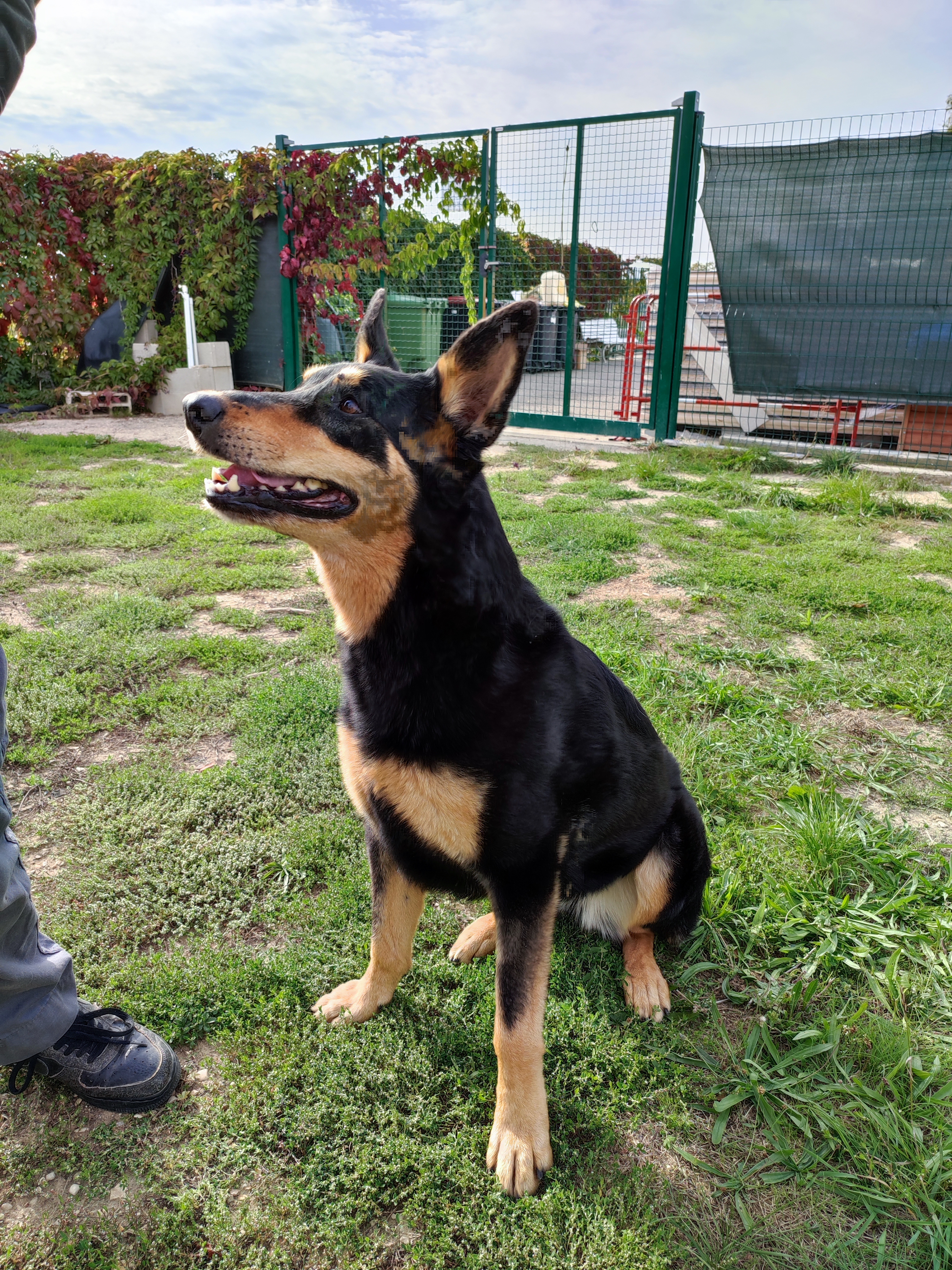 Photo n° 1 de l'avis de Hélène.r fait le 24/09/2022 à 17:19
