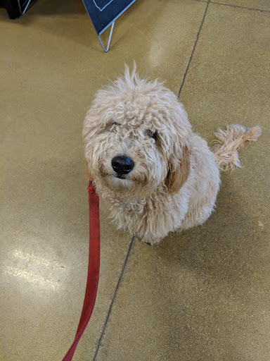 Pet Supply Store «PetSmart», reviews and photos, 3210 E Lynn Blvd, Sterling, IL 61081, USA