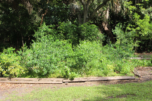 Park «Arch Creek Park», reviews and photos, 1855 NE 135th St, North Miami, FL 33181, USA