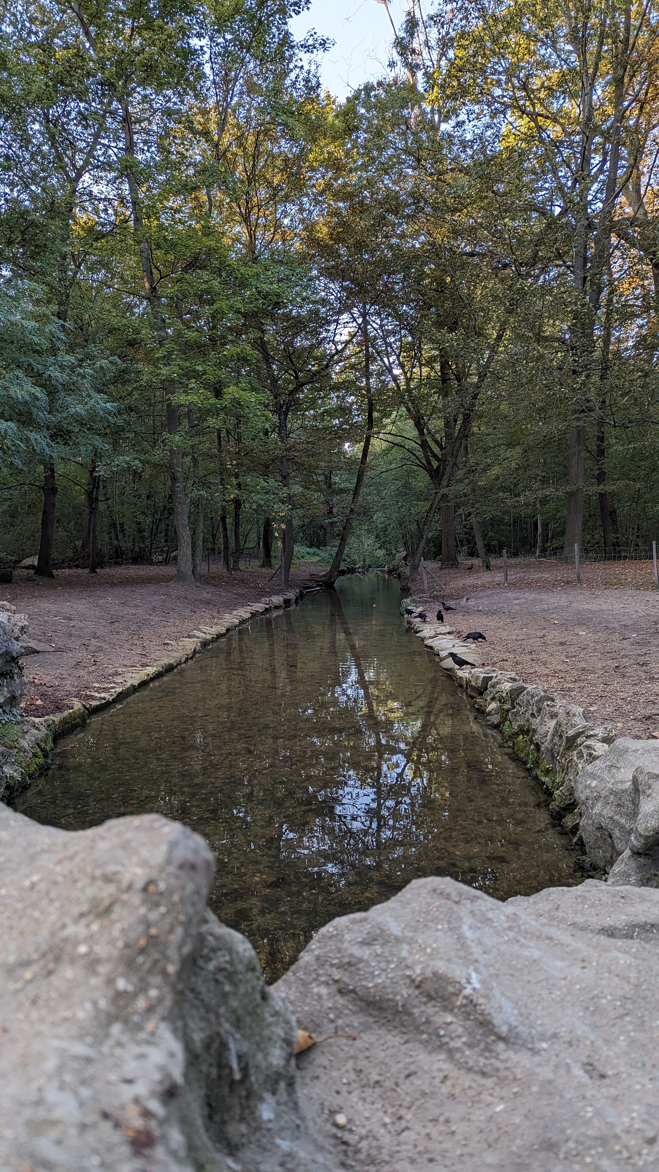 Photo n° 3 de l'avis de Alessandro.t fait le 09/03/2024 à 01:48