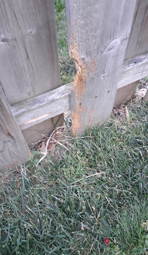 Pet Supply Store «Concord Pet Foods & Supplies», reviews and photos, 287 Christiana Rd, New Castle, DE 19720, USA