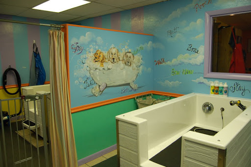 Pet Supply Store «Island Paws», reviews and photos, 630 Tarpon Bay Rd # 5, Sanibel, FL 33957, USA