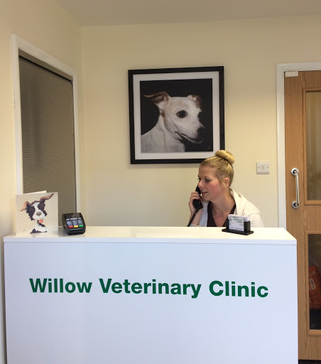 Willow Veterinary Clinic