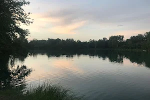 Merz-Baggersee image