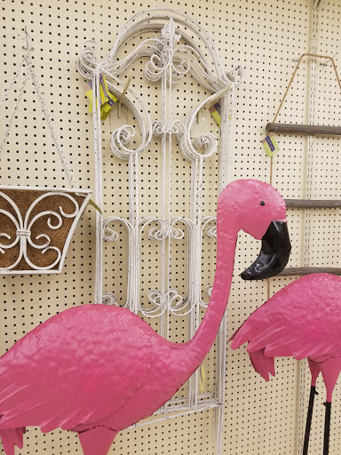 Craft Store «Hobby Lobby», reviews and photos, 3925 Dodge St, Dubuque, IA 52003, USA