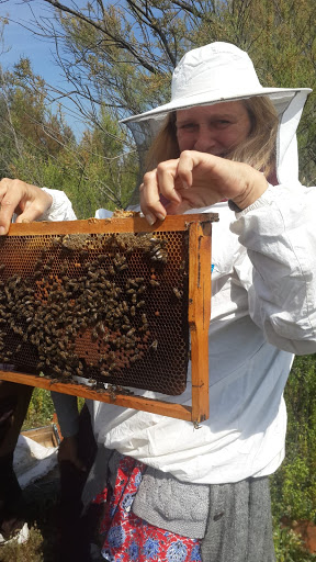 Köyceğiz Çam Balı