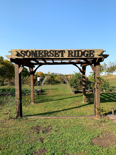 Winery «Somerset Ridge Vineyard & Winery», reviews and photos, 29725 Somerset Rd, Paola, KS 66071, USA