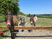 Photos du propriétaire du Bistro Stoney Oak Family Farm à Poullignac - n°18