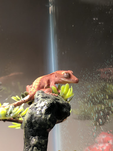 Pet Supply Store «Petco Animal Supplies», reviews and photos, 975 Savannah Hwy #137, Charleston, SC 29407, USA